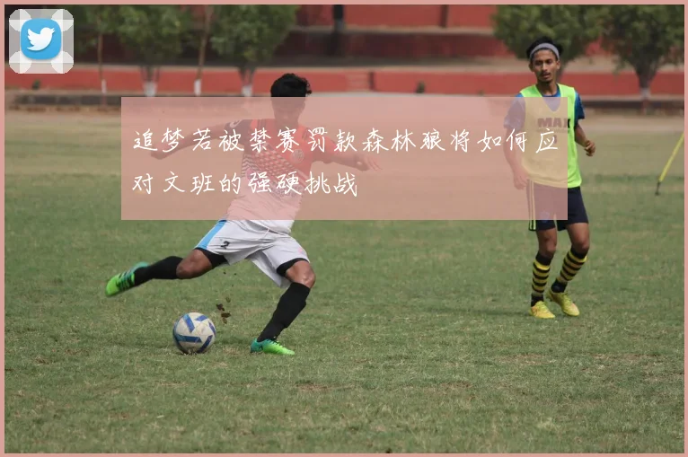 追梦若被禁赛罚款森林狼将如何应对文班的强硬挑战