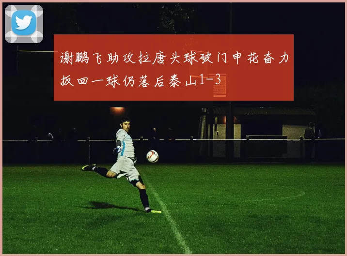 谢鹏飞助攻拉唐头球破门申花奋力扳回一球仍落后泰山1-3