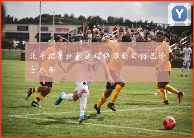 北卡招募林葳进程停滞新目标已浮出水面