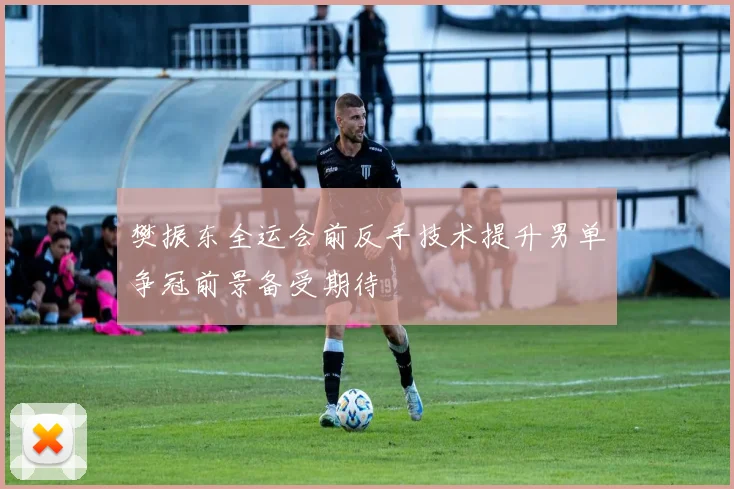 樊振东全运会前反手技术提升男单争冠前景备受期待