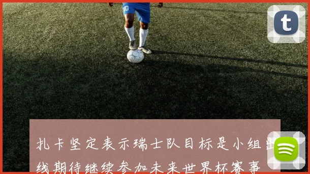 扎卡坚定表示瑞士队目标是小组出线期待继续参加未来世界杯赛事